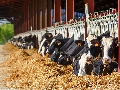 Fabricantes de maquinaria agrícola